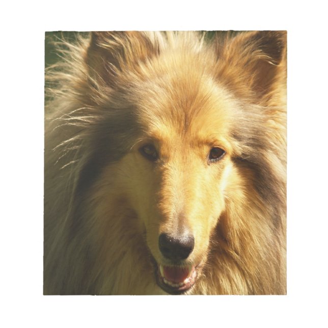 Lassie Collie  Notepad (Front)