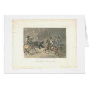 Lassoing a Bear (1178A)