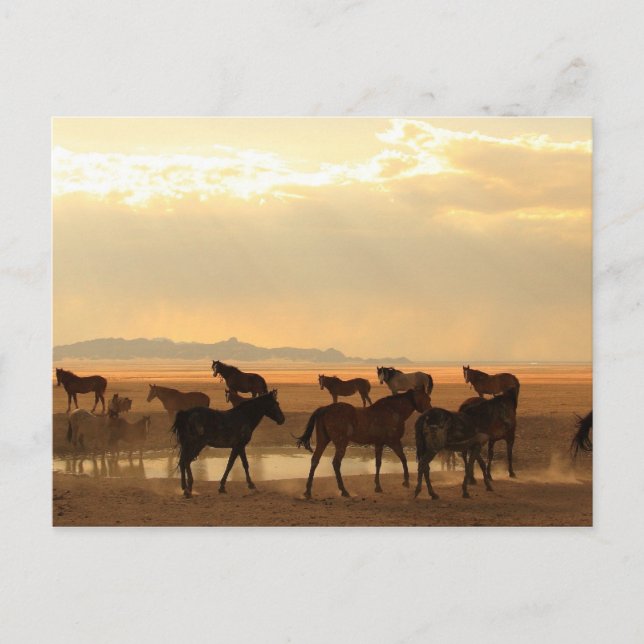 Last Call Postcard (Front)