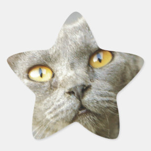 Last Hope's Jean Grey Star Sticker