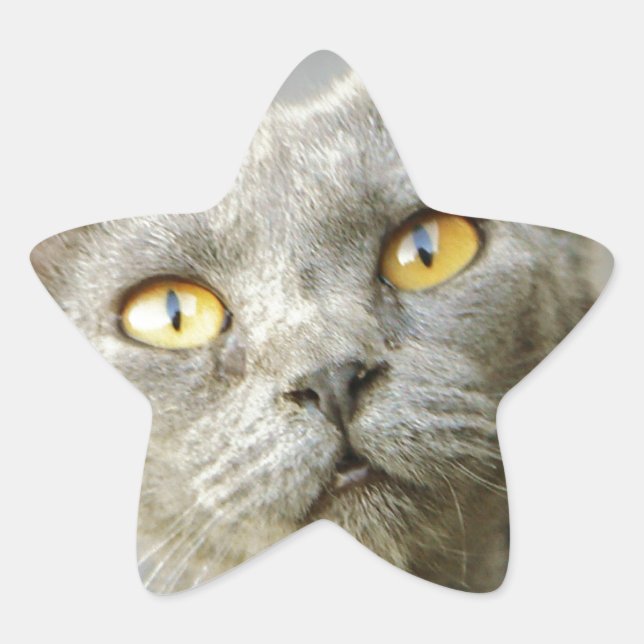 Last Hope's Jean Grey Star Sticker (Front)