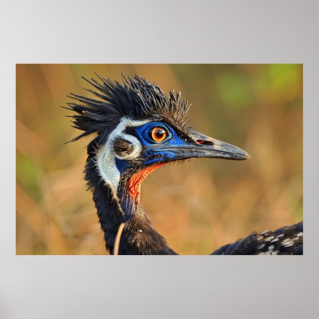 Last Light of the Grasslands – Bengal Florican Poster (Front)