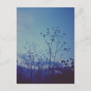 Last Light Postcard