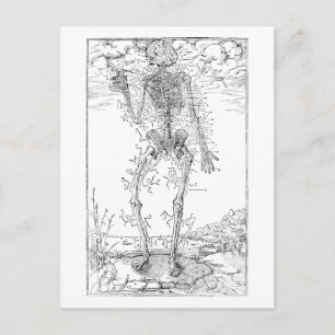 Last Nerve - Halloween Skeleton Postcard