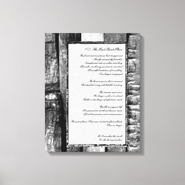 Last Quiet Place Canvas Print (Front)