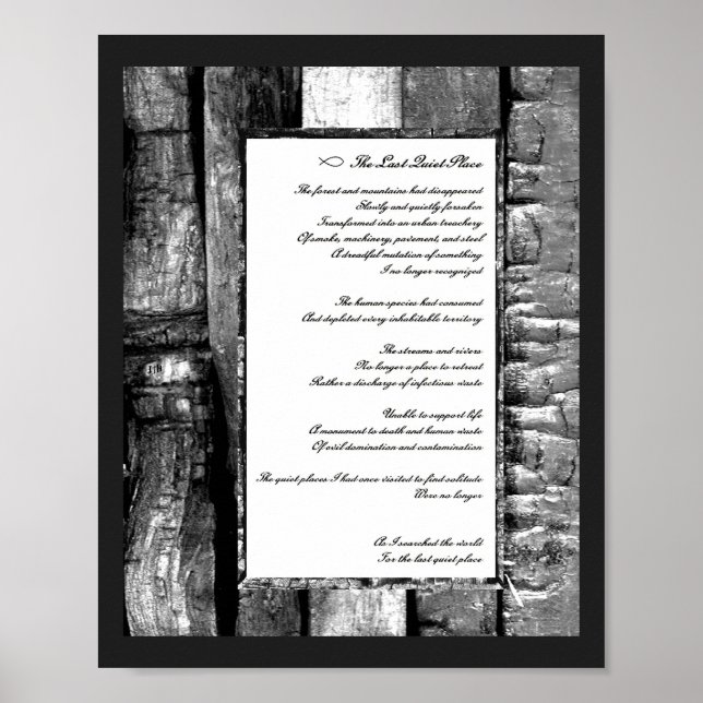 Last Quiet Place Poster (Front)