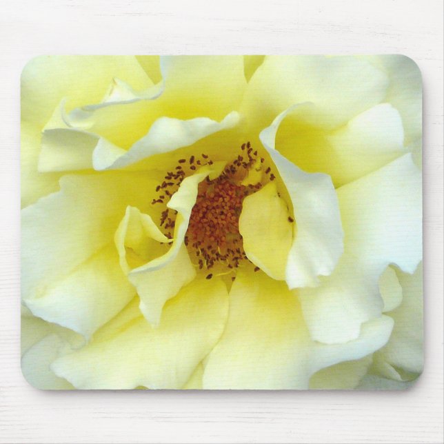 Last Rose of Summer Mouse Mat (Front)