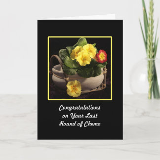 Last Round of Chemo Congratulations Card Primroses