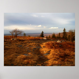 Late Afternoon on the Sods Poster