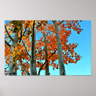 Late Autumn Afternoon Poster