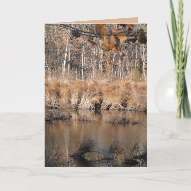 Late Autumn Card (Front)