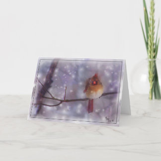 Late Cold Day Lady Cardinal Holiday Card