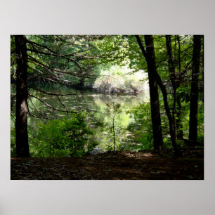 Late Summer at Walden Pond Poster