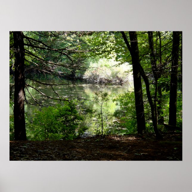 Late Summer at Walden Pond Poster (Front)