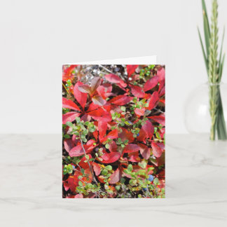 Late Summer in Alaska - 4" x 5.6" Notecard