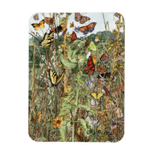 Late Summer Magnet