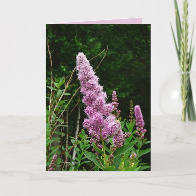 Late Summer Memory Card (Front)