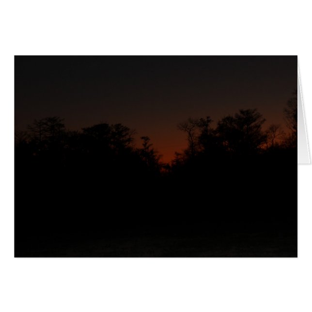 Late sunset (Front Horizontal)