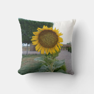 Latest cool Sunflower Cushion