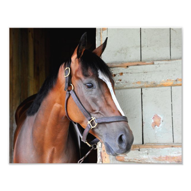 Latigo Trail Photo Print (Front)