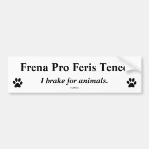 Latin Bumper Translated - Frena Pro Feris Teneo Bumper Sticker