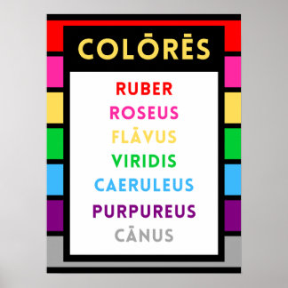 Latin Colours Poster - Latin Teacher Gift