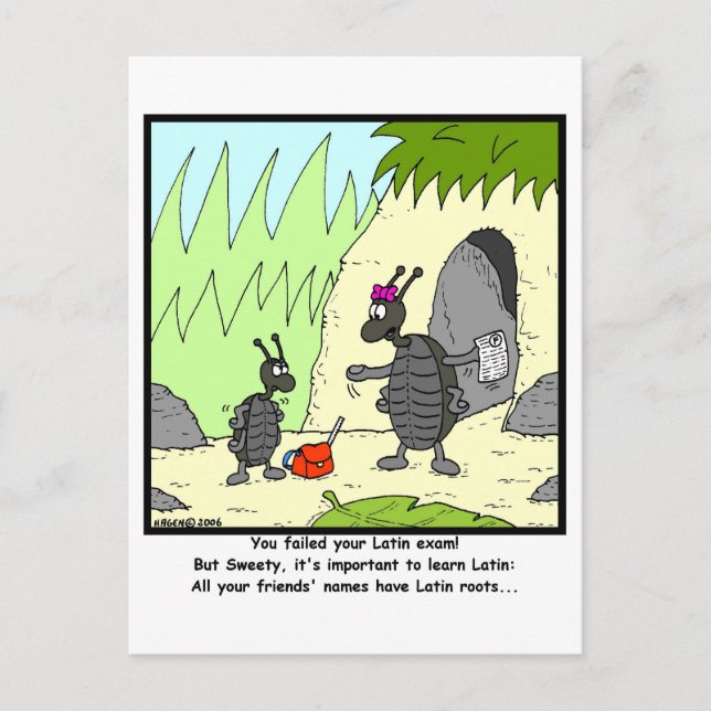 Latin Exam Postcard (Front)