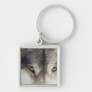 Latin name: Canis Lupus Key Ring