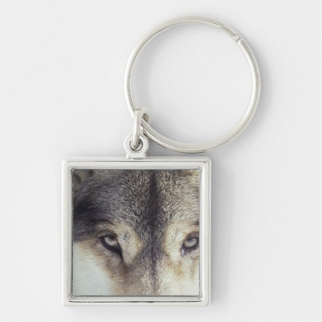 Latin name: Canis Lupus Key Ring (Front)