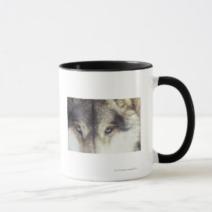 Latin name: Canis Lupus Mug