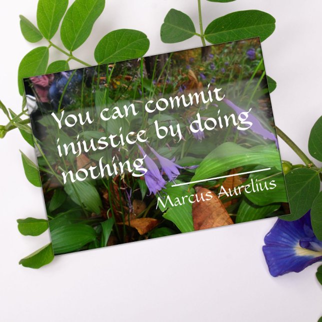 Latin wisdom quote about justice poster (Creator Uploaded)