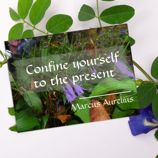 Latin wisdom quote greenery poster (Creator Uploaded)