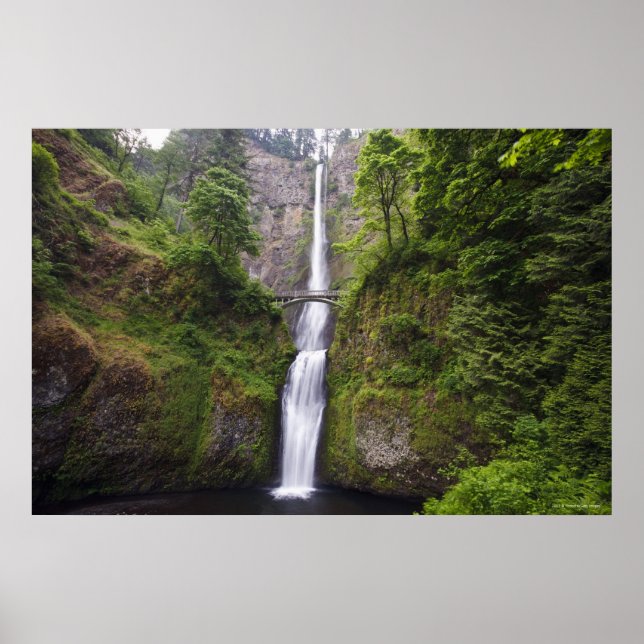 Latourell Falls & Bridge Columbia River Gorge Poster (Front)
