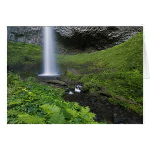 Latourell Falls, Columbia River Gorge, Oregon,
