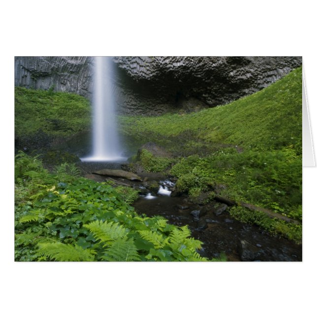 Latourell Falls, Columbia River Gorge, Oregon, (Front Horizontal)