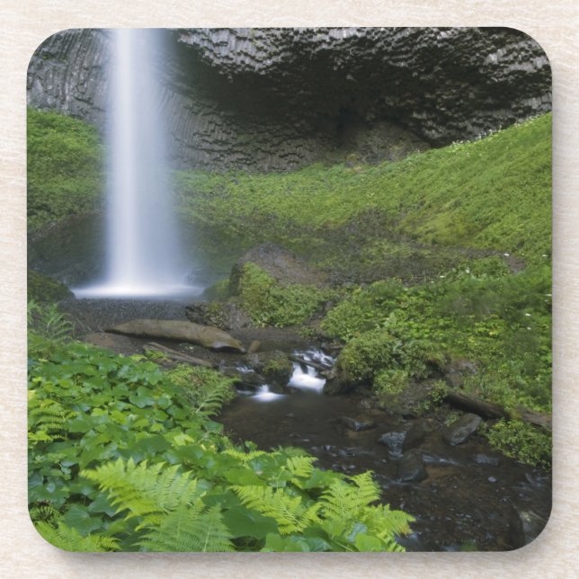 Latourell Falls, Columbia River Gorge, Oregon, Coaster (Front)