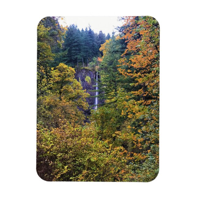 Latourell Falls, Columbia River Gorge, Oregon Magnet (Vertical)