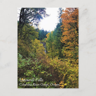 Latourell Falls, Columbia River Gorge, Oregon Post Postcard