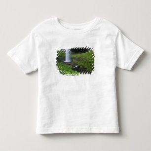 Latourell Falls, Columbia River Gorge, Oregon, Toddler T-Shirt