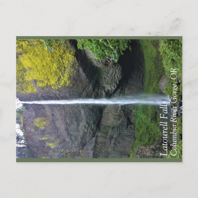 Latourell Falls, OR Postcard (Front)