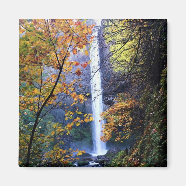 Latourell Falls, Oregon Magnet (Front)