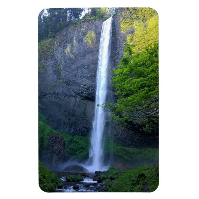 Latourell Falls, Oregon Magnet (Vertical)