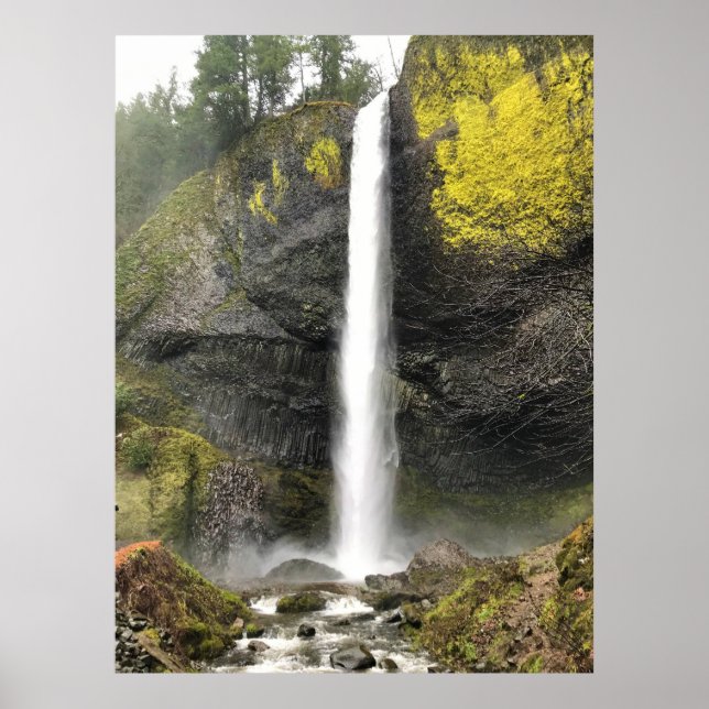 Latourell Falls, Oregon Poster (Front)