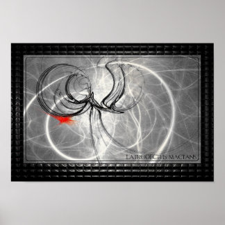 Latrodectus Mactans Poster