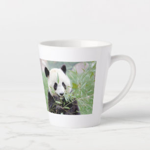 latte mug Photo giant panda , animals . latte mug
