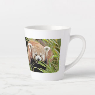 latte mug Photo red panda , animals . latte mug