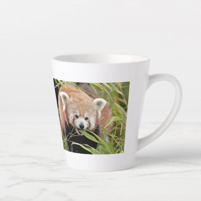 latte mug Photo red panda , animals . latte mug (Right)