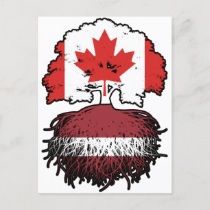 Latvia Latvian Canadian Canada Tree Roots Flag Postcard