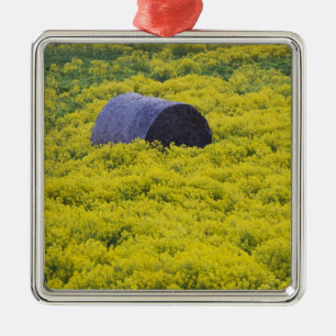 Latvia, Northeastern Latvia, Vidzeme Region, 2 Metal Tree Decoration