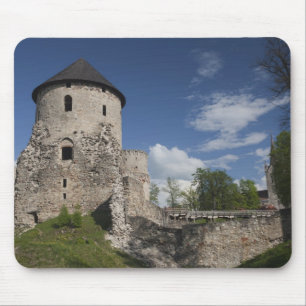 Latvia, Northeastern Latvia, Vidzeme Region, 3 Mouse Mat